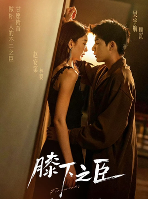 膝下之臣（56集）古装热门短剧