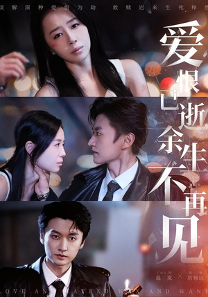 爱恨已逝，余生不再见（68集）不用花钱看全剧