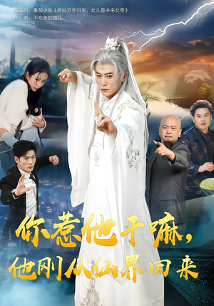 你惹他干嘛，他刚从仙界回来（80集）短剧介绍