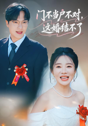 门不当户不对，这婚结不了（58集）大结局完美收官