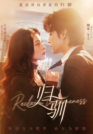 归驯（82集）最火的短剧