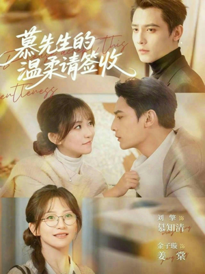 慕先生的温柔请签收（90集）热门短剧大全