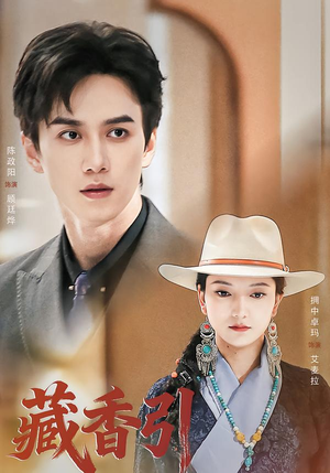 藏香引(63集) 藏香引(63集)真的太精彩了
