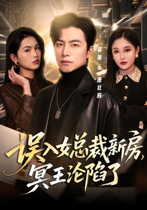 误入女总裁新房，冥王沦陷了（80集）第三季