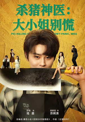 杀猪神医，大小姐别慌（80集）全集
