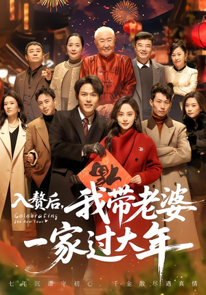 入赘后，我带老婆一家过大年（60集）海量资源免费看