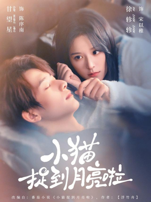 小猫捉到月亮啦（80集）哪个短剧网能看