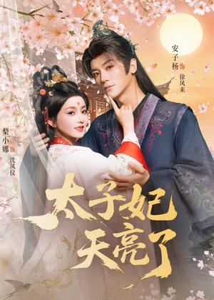 太子妃天亮了（80集）独家短剧免费看