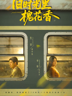 旧时光里槐花香（70集）热门了短剧