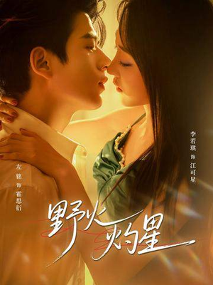 野火灼星（56集）爆火短剧追不停