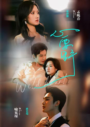 心要野（62集）精彩短剧片段