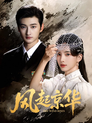 风Q京华（60集）全集一网打尽