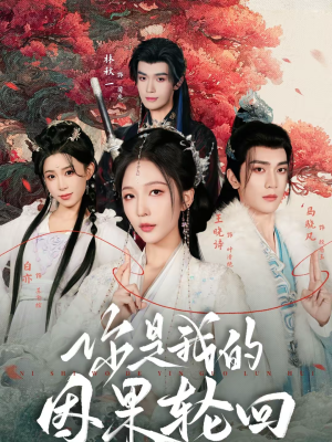 你是我的因果轮回（100集）全集我都看完了