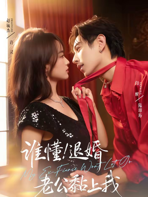 谁懂！退婚老公黏上我（64集）百度网盘在线看