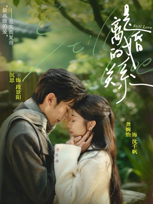 是离婚的关系（67集）口碑之选免费看