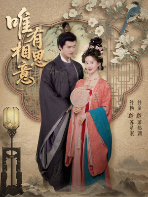 唯有相思意(100集) 唯有相思意(100集)短剧精彩片段