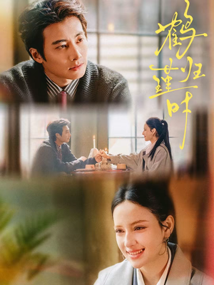 鹤归瑾时（81集）最火短剧推荐