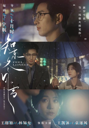 知京冬风雪（68集）免费短剧就是爽