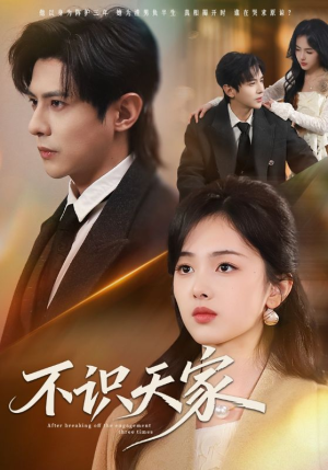 不识天家（69集）短剧热门分享