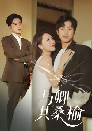 与卿共桑榆（63集）古装热门短剧