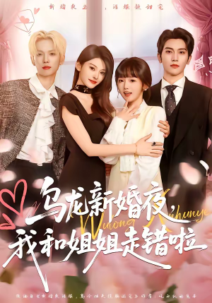 乌龙新婚夜，我和姐姐走错啦（59集）好看吗