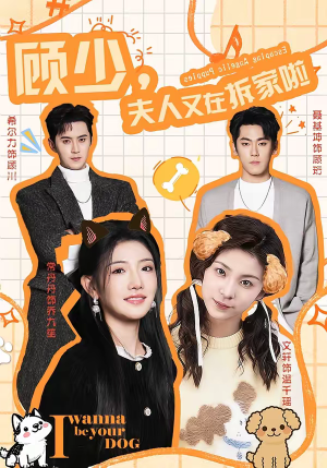 顾少，夫人又在拆家啦（78集）热门短剧大全