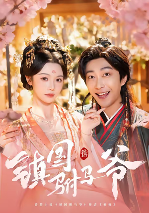 镇国驸马爷（92集）网盘在线观看