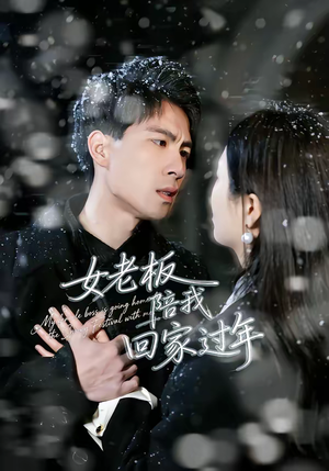 女老板陪我回家过年（40集）一口气看完全集