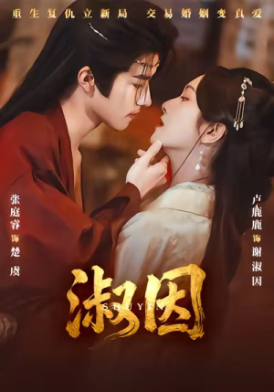 淑因（65集）短剧小说在线看