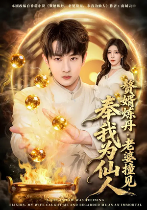 赘婿炼丹,老婆撞见,奉我为仙人(59集) 赘婿炼丹,老婆撞见,奉我为仙人(59集)好看短剧推荐